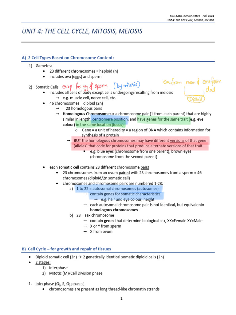 Cell Cycle, Mitosis, and Meiosis Overview | PDF | Meiosis | Mitosis
