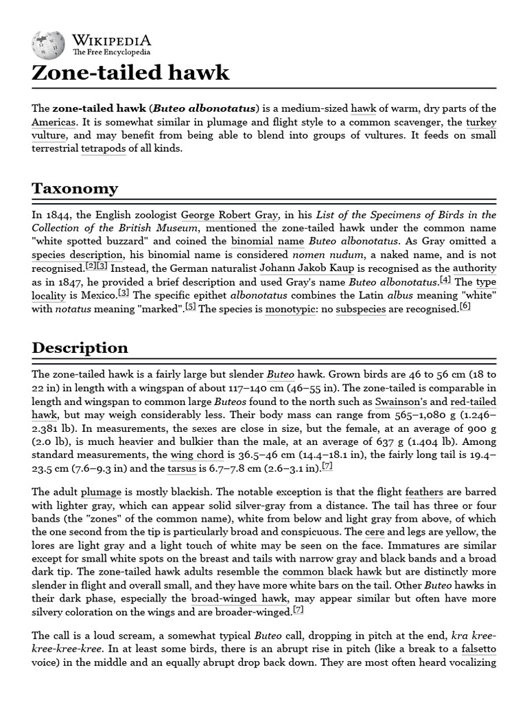 Zone-Tailed Hawk Size and Characteristics | PDF | Birds Of Prey | Zoology