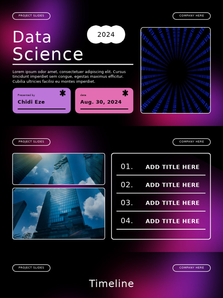Data Science Project Overview 2024 | PDF