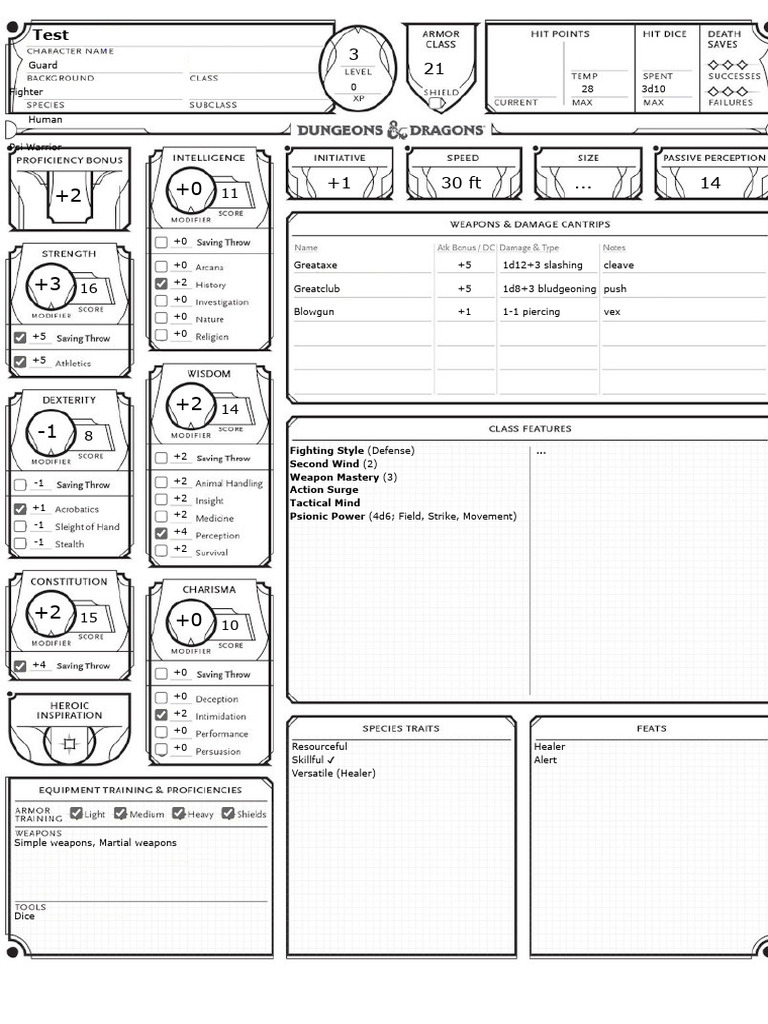 2024 D&D Character Builder Guide | PDF