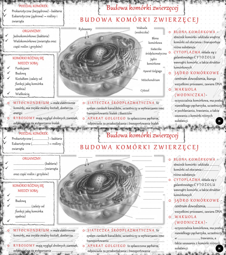grafonotka-pdf