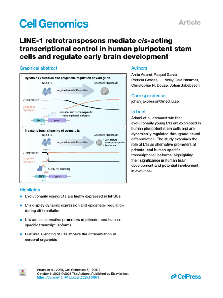 L1 Retrotransposons in Human Stem Cells | PDF | Gene Expression | Dna ...