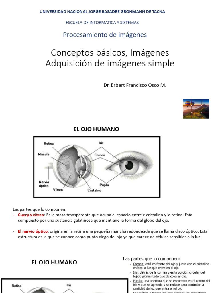 Fundamentos de la Percepción Visual Humana | PDF | Color | Percepción ...