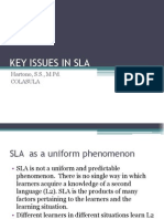 Key Issues in Sla