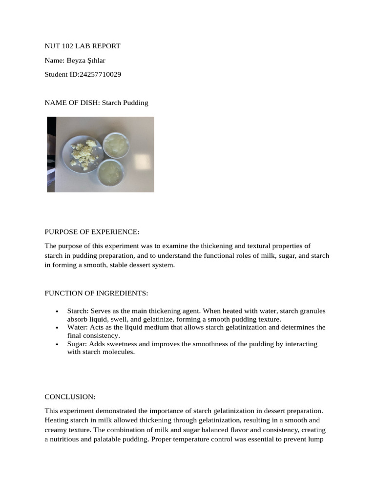 Starch Pudding Lab Report Analysis | PDF