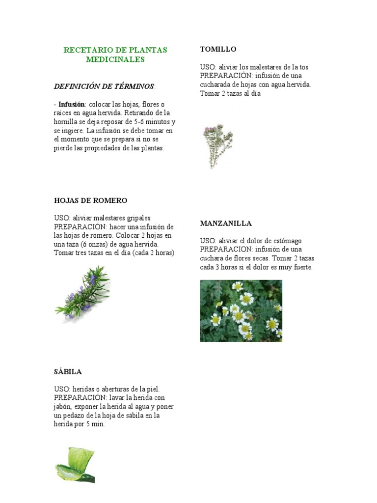 Recetario de Plantas Medic in Ales | PDF | Plantas comestibles | Hierbas y  especias
