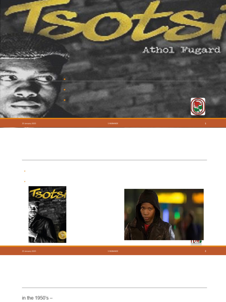 TSOTSI Introduction 2025 | PDF