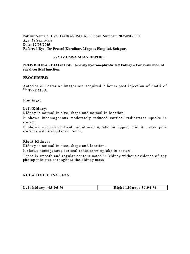 99mTc DMSA Scan Report: Kidney Function Evaluation | PDF