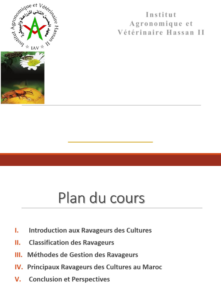 Ravageurs des Cultures : Identification et Gestion | PDF | Lutte ...