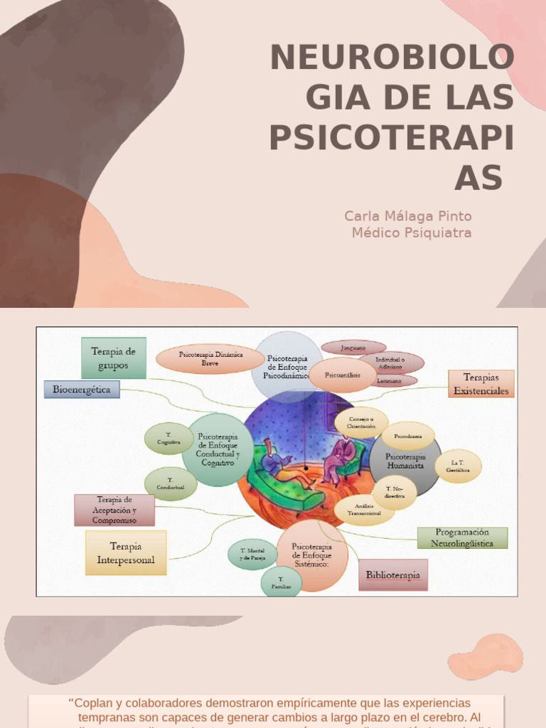 Neurobiología de la Psicoterapia | PDF | Las emociones | La ...