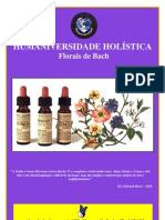 37060495 Apostila Florais de Bach 2010