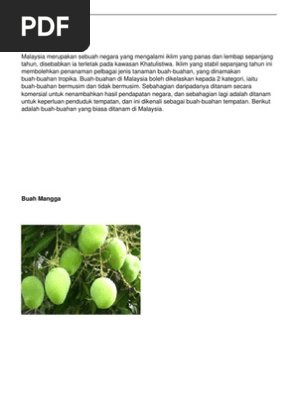 Buah Buahan Tempatan  PDF