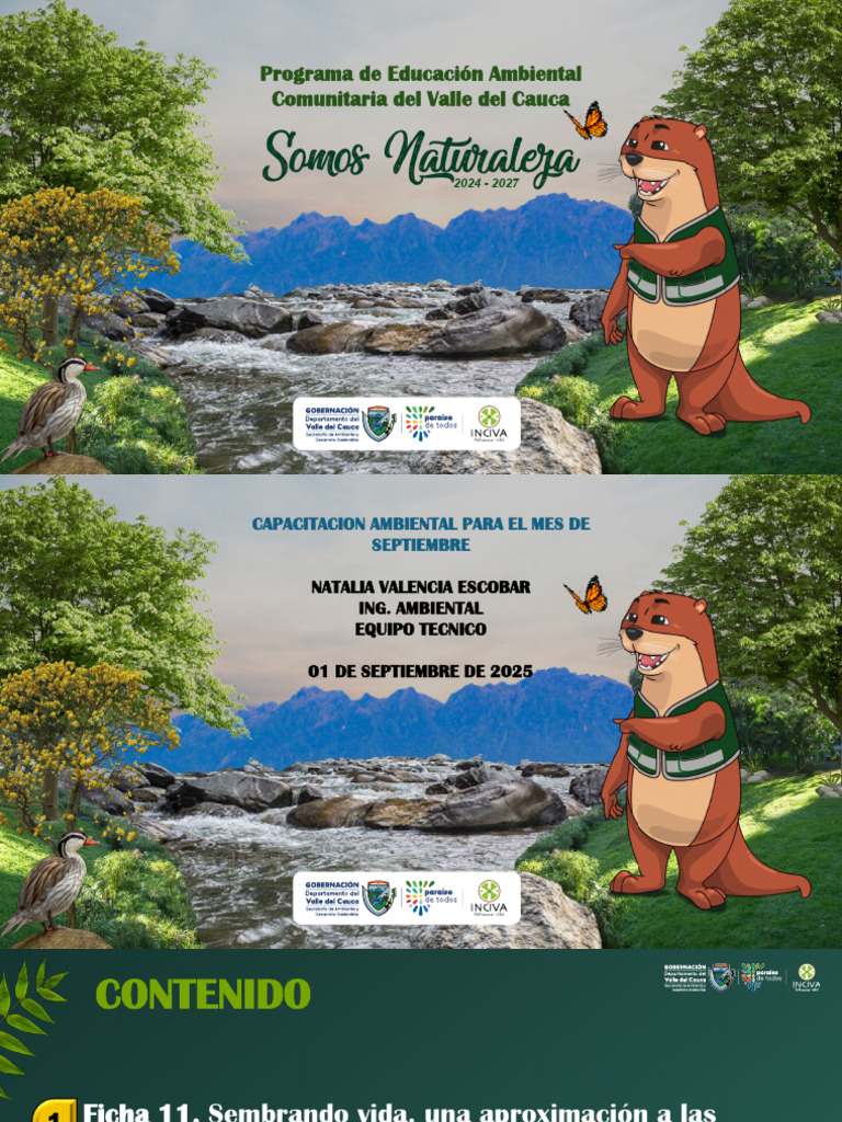 Capacitacion Ambiental | PDF | Aves | Compost