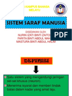 Sistem Saraf Present