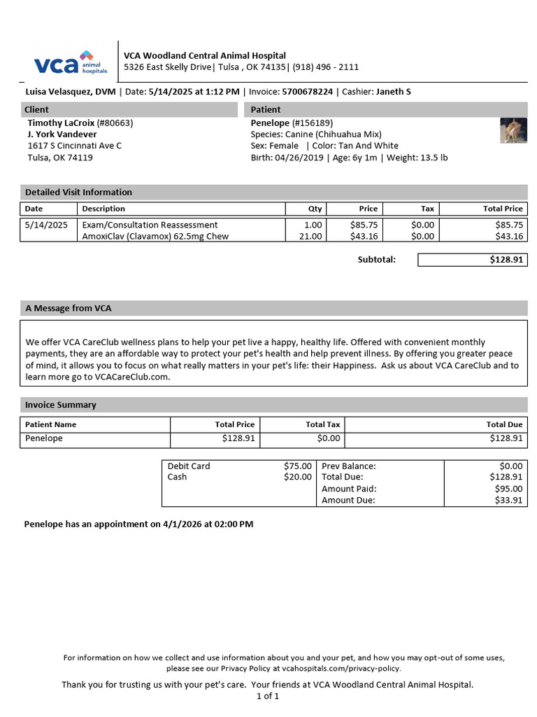 VCA Animal Hospital Invoice for Penelope | PDF
