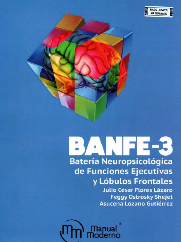 Copia de Manual Banfe 3 (1) Comprimido | PDF
