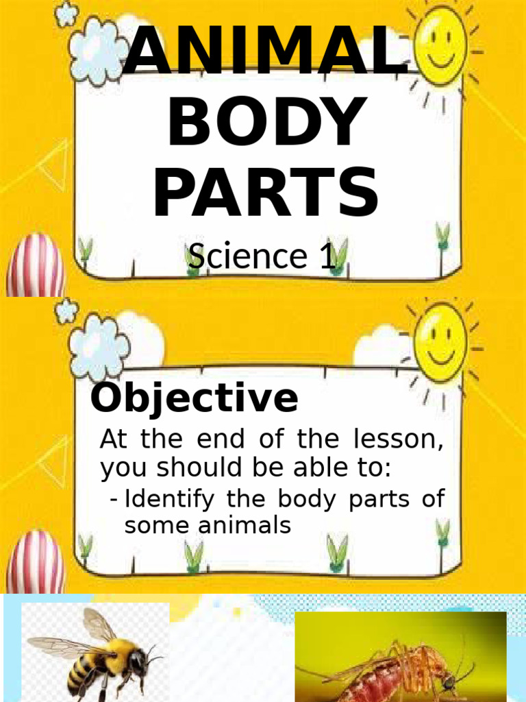 Animal Body Parts - Science 1 | PDF