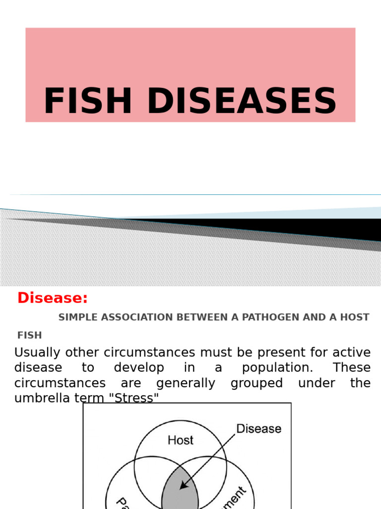 Fish Diseases I (Edited) | PDF | Fish | Parasitism