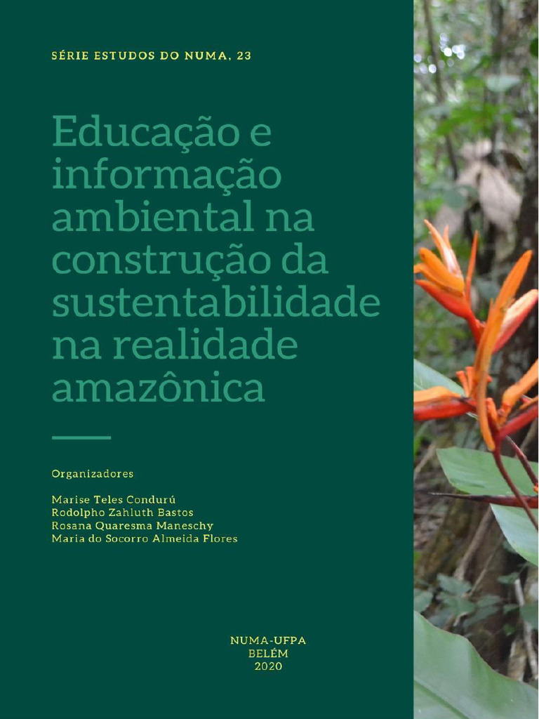 Educação Ambiental na Amazônia | PDF | Sustentabilidade | Movimento ...