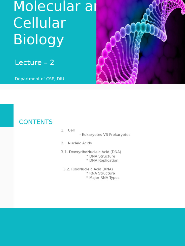 Lecture 2.2 Molecular and Cellular Biology (DNA Replication) | PDF ...