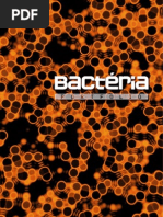 Portfolio Bactéria