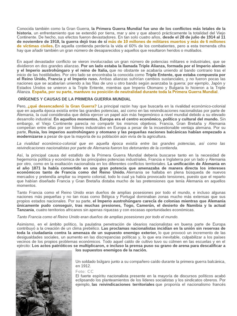 Causas y Consecuencias de la Primera Guerra Mundial | PDF | Primera ...