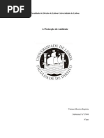 A Protecção do Ambiente