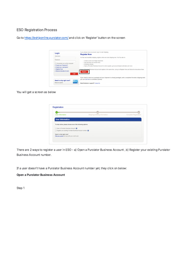 PUROSC ESO Registration Process 221025 202315 | PDF