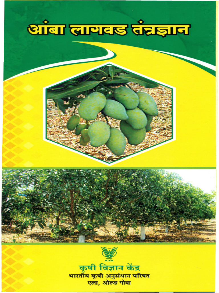 Scientific Mango Cultivation | PDF
