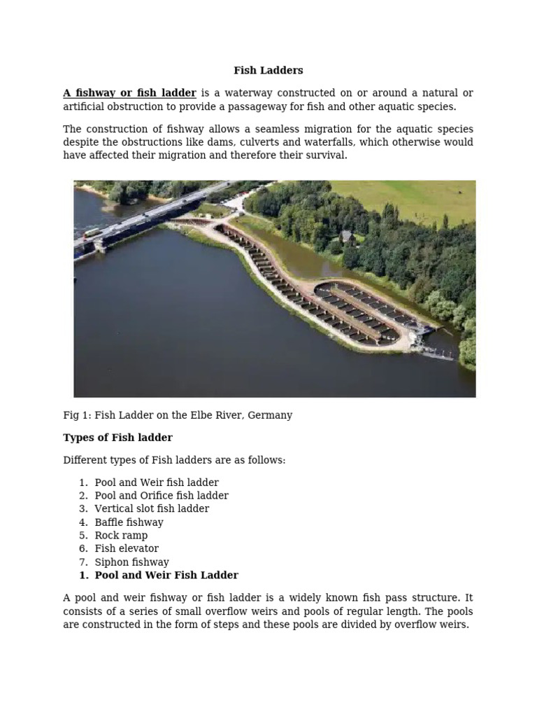 Types of Fish Ladders Explained | PDF | Hydrology | Water