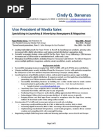 Download Vice President of Sales Sample Resume from Freedom Resumes by Freedom Resumes SN94215908 doc pdf