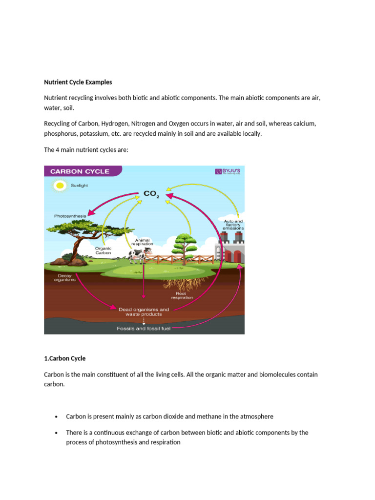 Key Nutrient Cycle Examples Explained | PDF | Nitrogen | Soil
