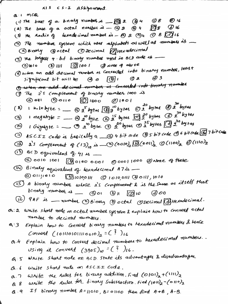 CS-1 CH - 1 Assignment | PDF