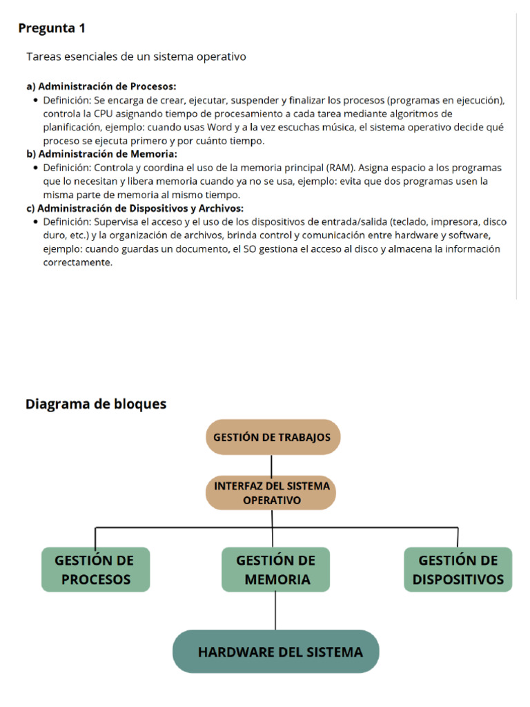 EXAMEN 1 | PDF