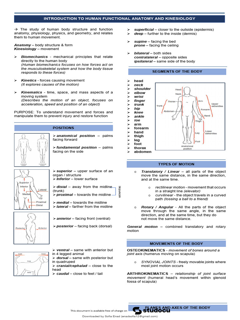 Anatomy and Kinesiology Introduction | PDF | Anatomical Terms Of Motion ...