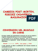 Cambios Morten Rigidez Cadaverica Maduracion