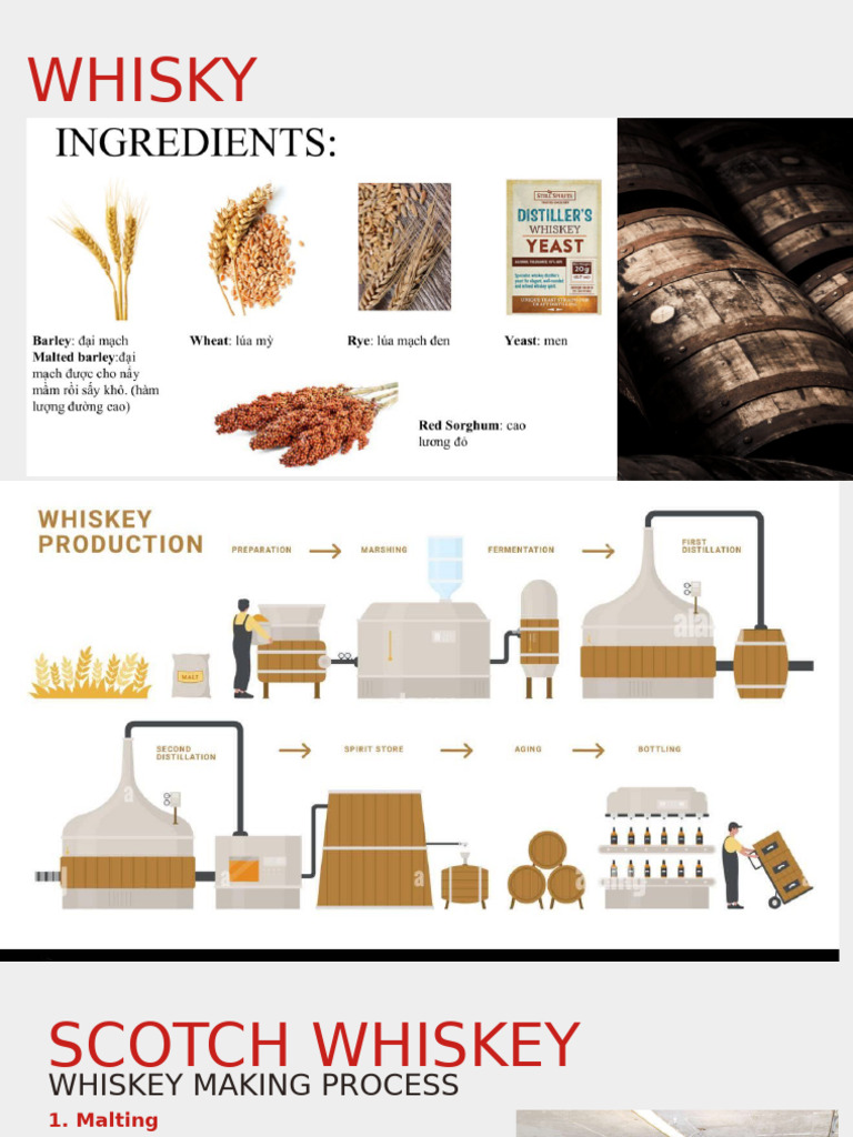Scotch Whiskey | PDF
