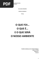 O que foi, o que é e o que será o nosso Ambiente!