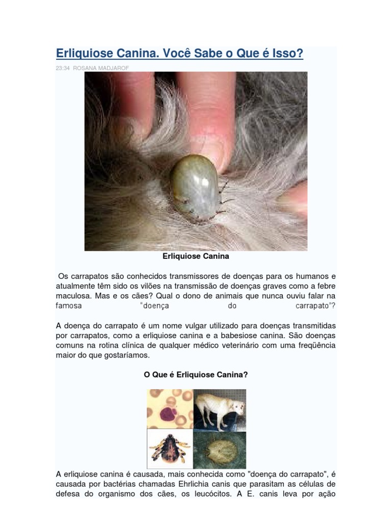 Erliquiose Canina | PDF | Cães | Sangue