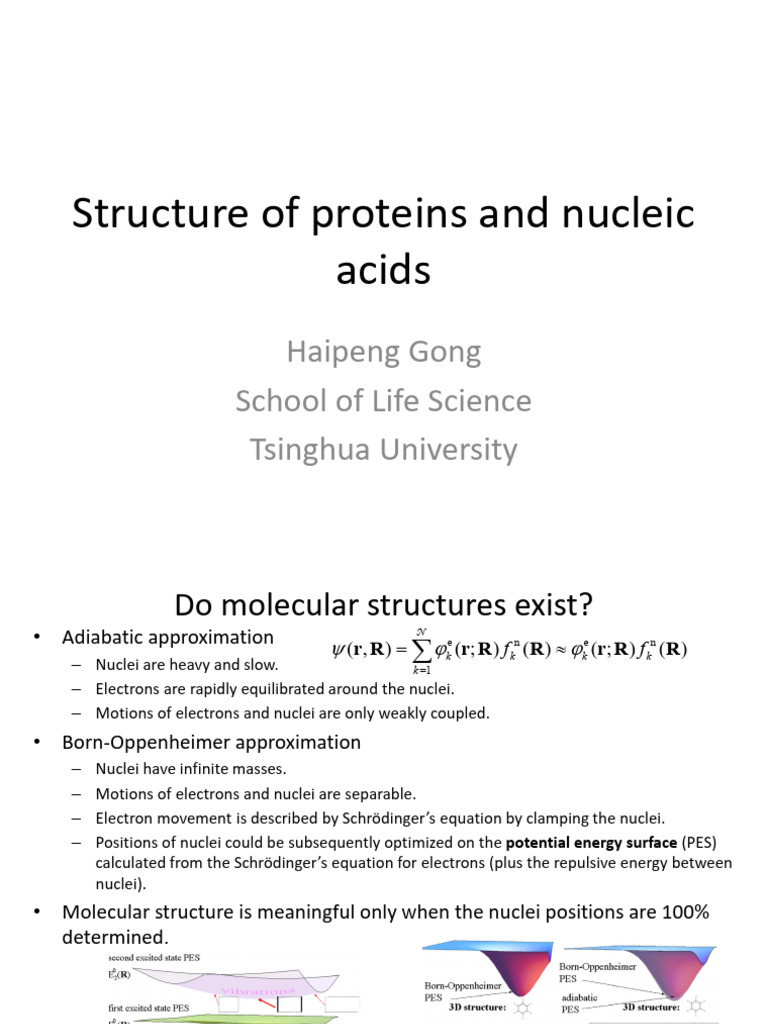02 Structure | PDF | Base Pair | Nucleic Acids