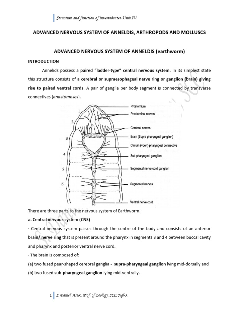Module 4.5 Advanced Nervous System of Annelids, Arthropods and Molluscs ...