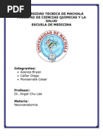 Download Historia de La Neurociencia by Ines Estefany SN94223804 doc pdf
