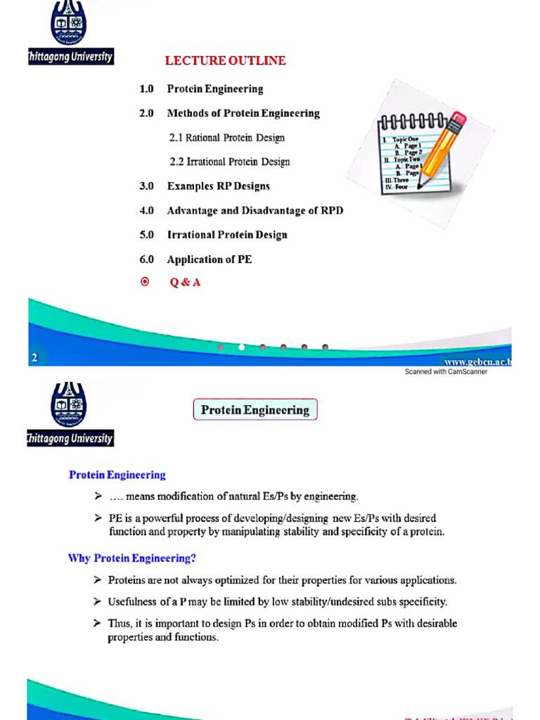 Protein Engineering | PDF