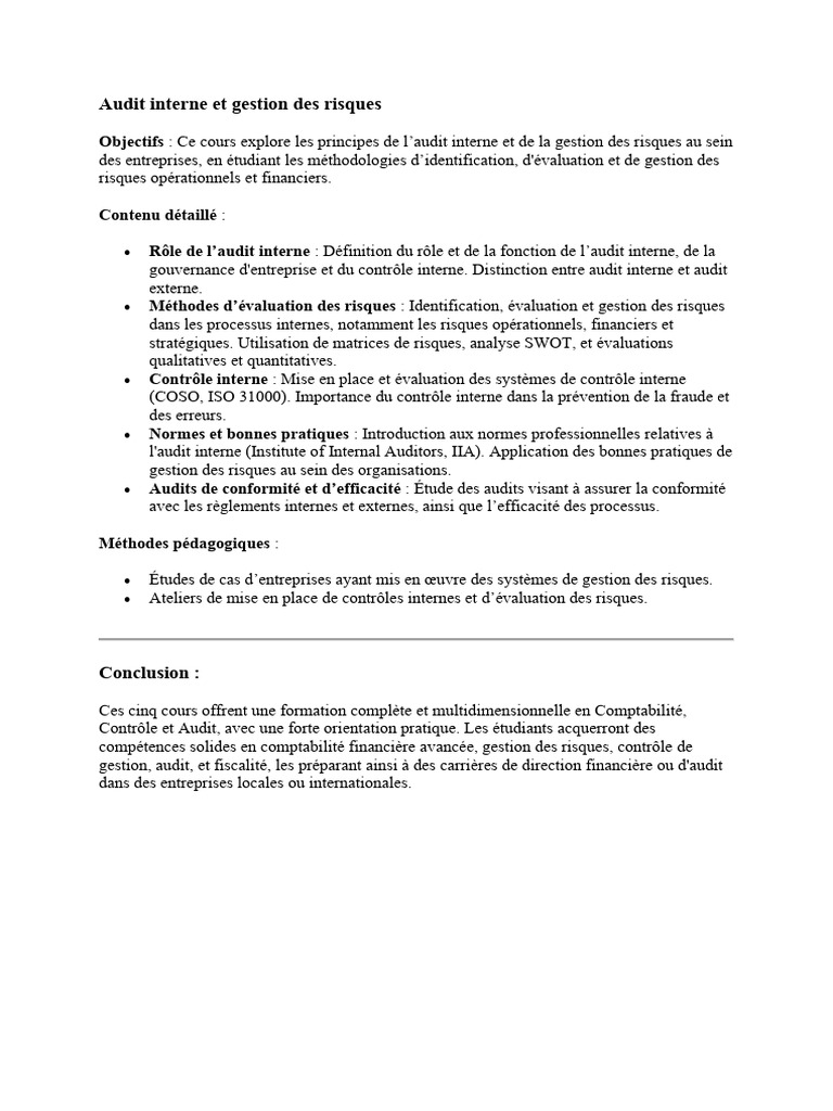 Audit interne et gestion des risques | PDF