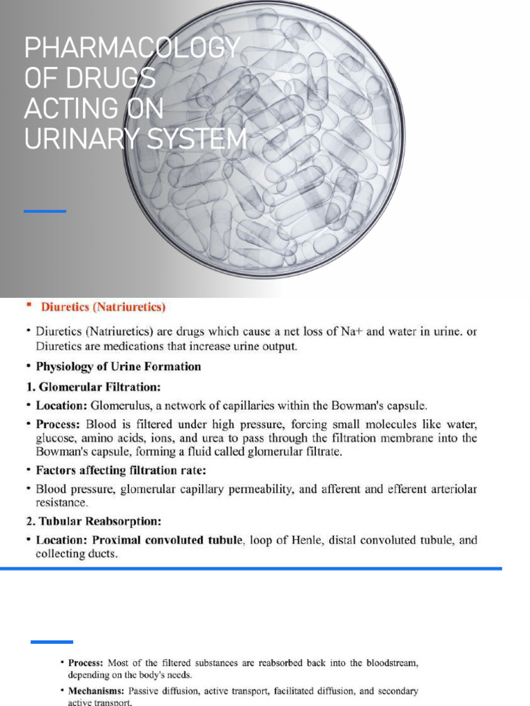 Drug Acting On Urinary System | PDF