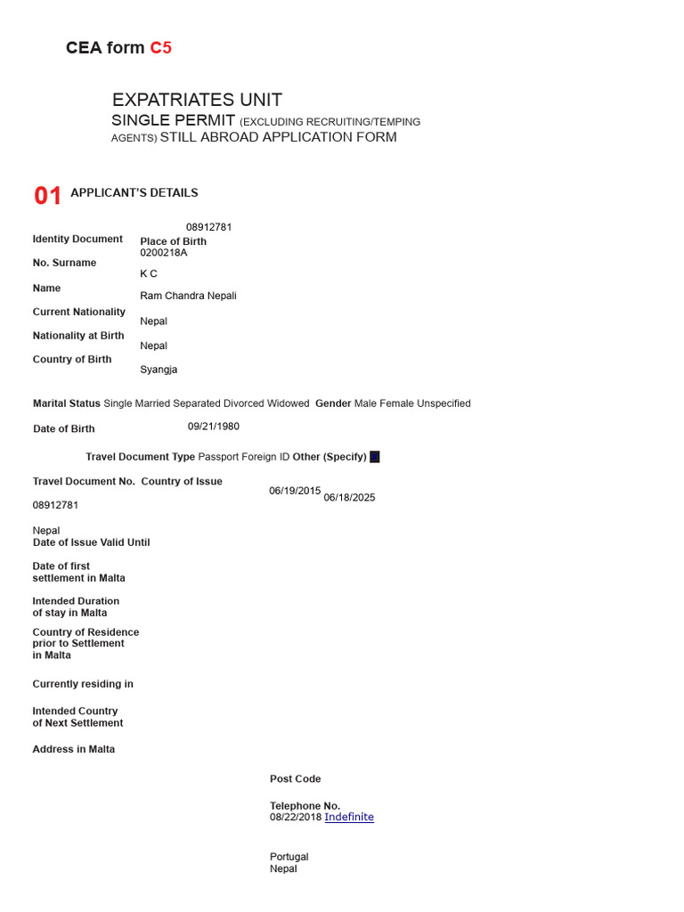 CEA Form C5: Still Abroad Application | PDF | Travel Visa | Government ...