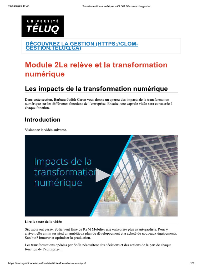 Les Impacts de La Transformation Numérique | PDF