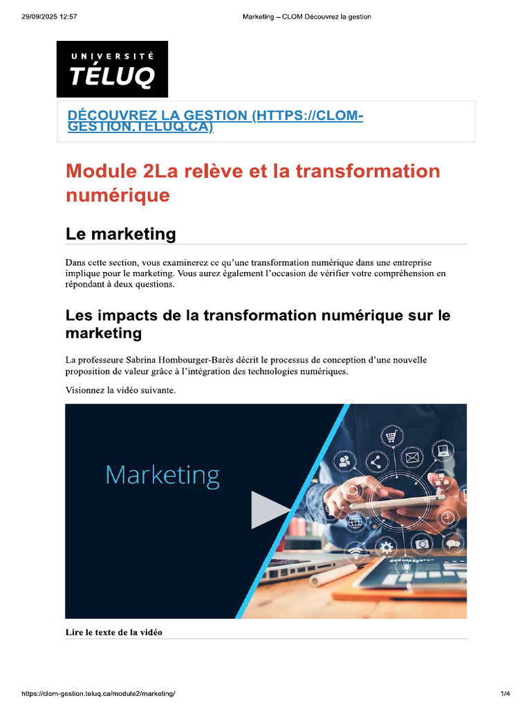 Les Impacts de La Transformation Numérique Sur Le Marketing | PDF