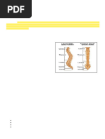 AO Spine Surgery Reference Guide | PDF | Vertebra | Vertebral Column