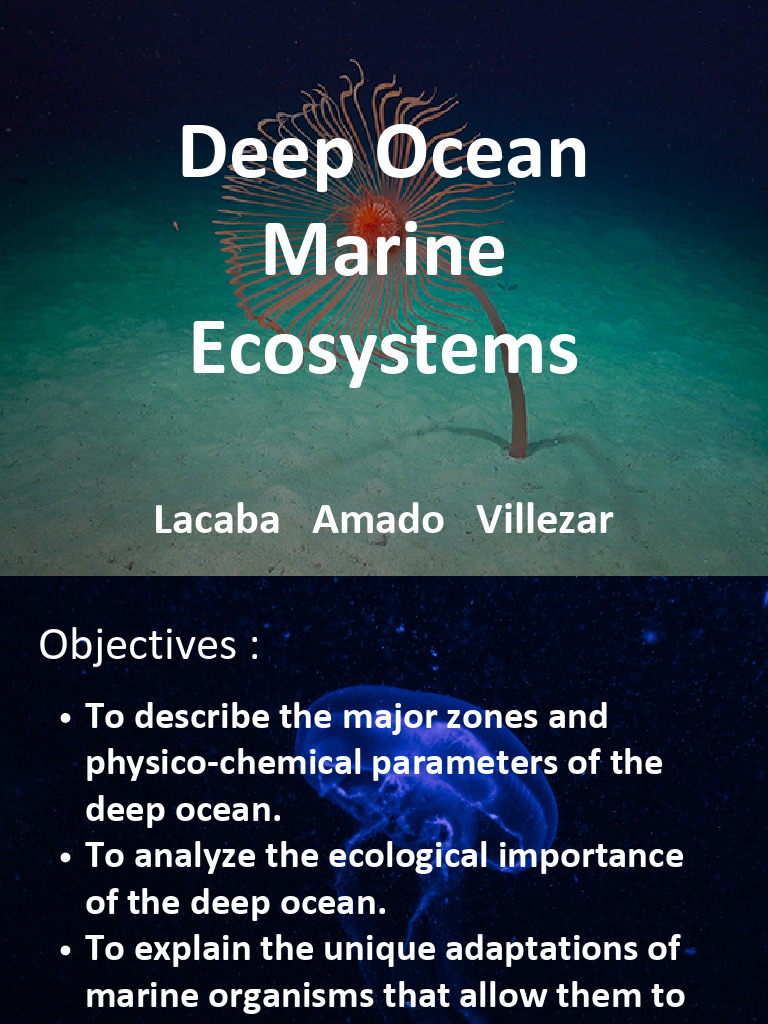 Deep Ocean Ecosystems and Biodiversity | PDF | Deep Sea | Oceans
